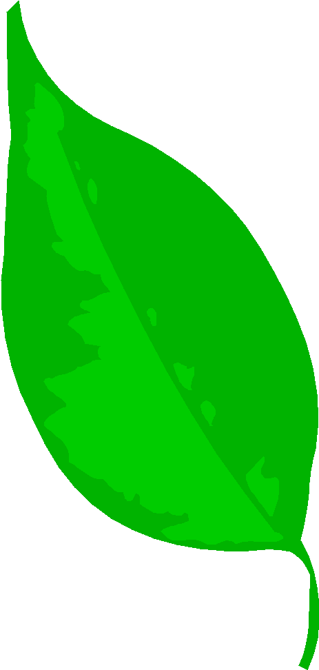 Circle The Leaf With 0 Bugs Clipart (463x972), Png Download