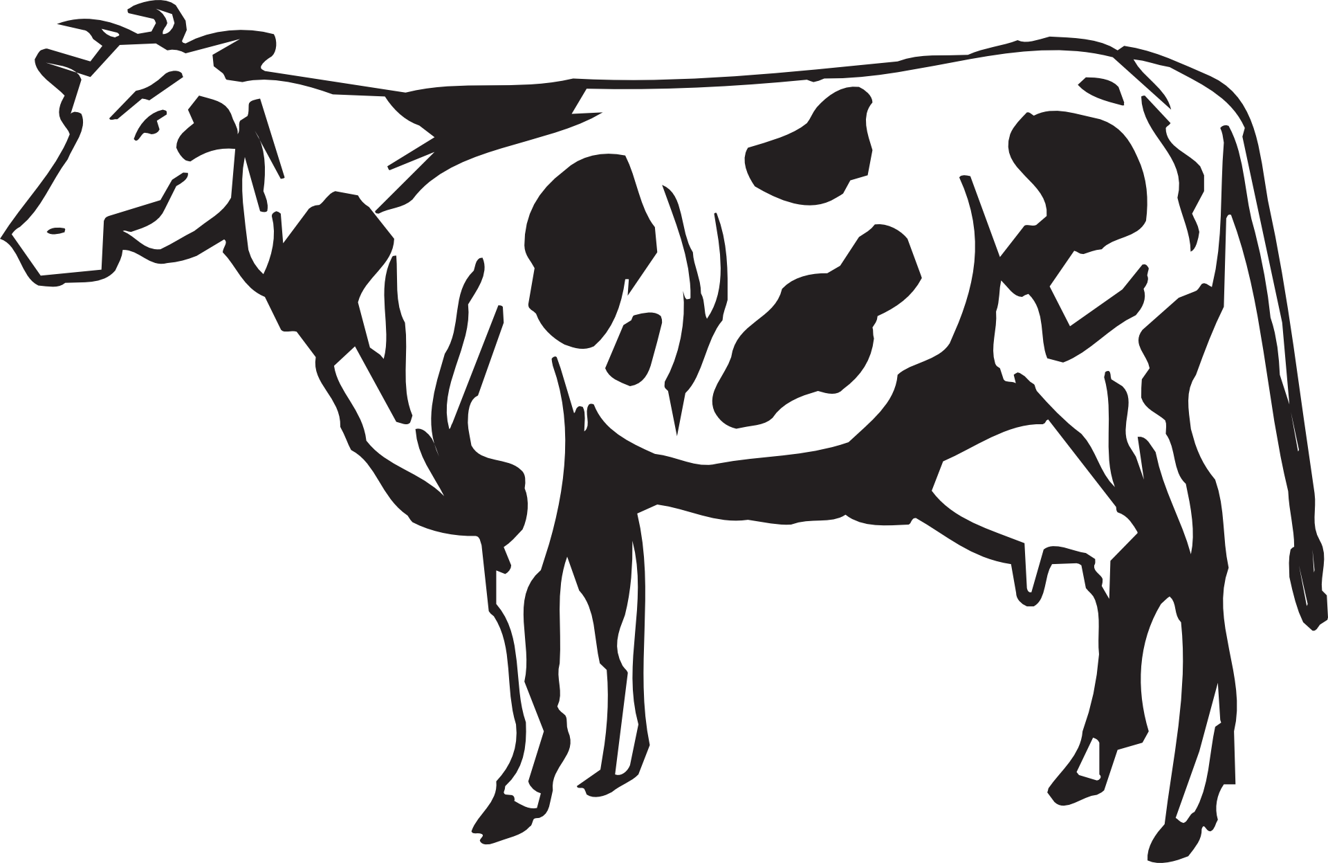 Picture Download Dairy Faqs Animal Husbandry Department - Animal Husbandry Kashmir Logo Hd Clipart (1920x1247), Png Download