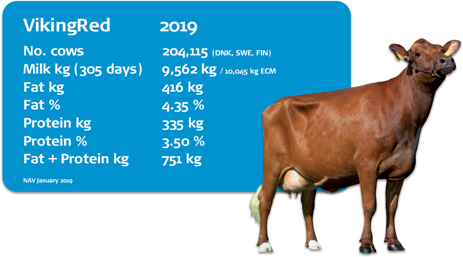 Interbull Evaluations - Dairy Cow Clipart (1200x628), Png Download