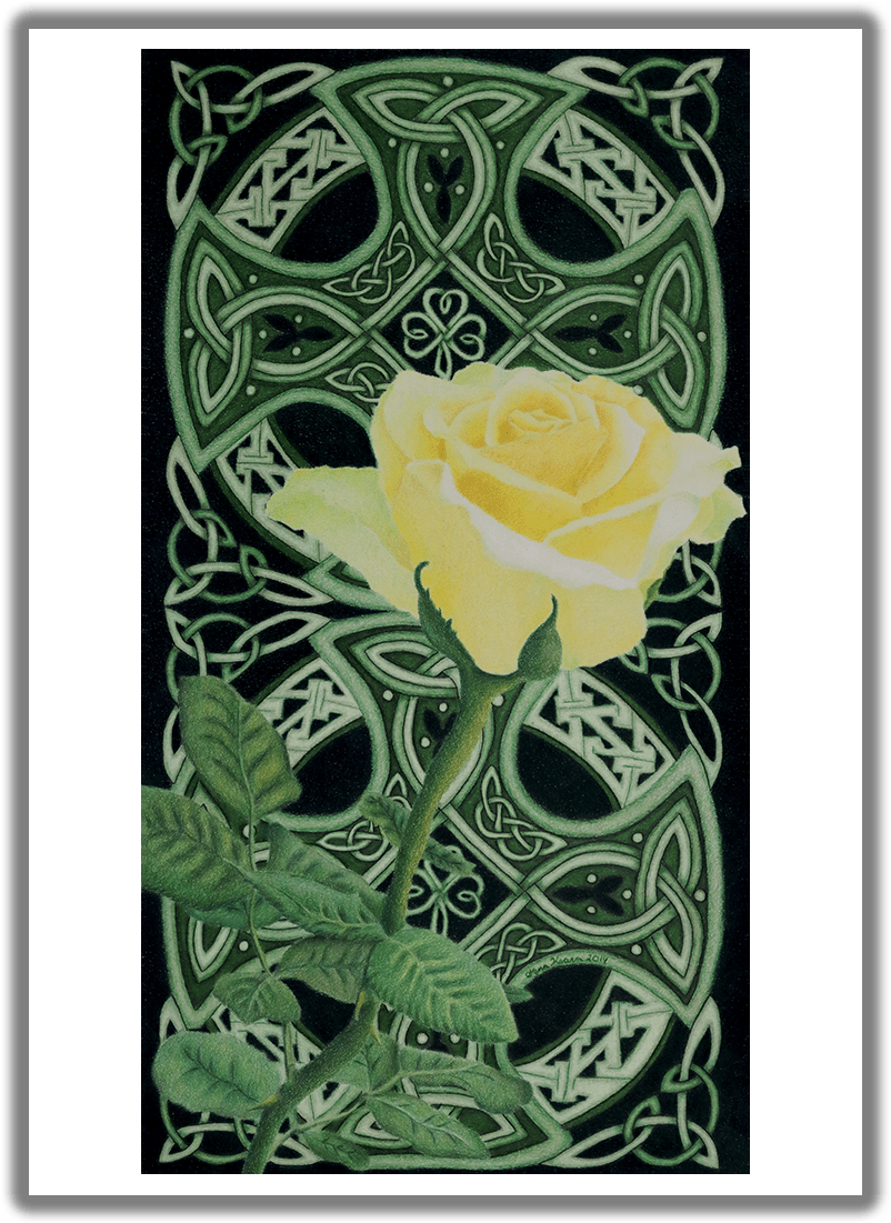 Emerald Enchantment St - Hybrid Tea Rose Clipart (825x1125), Png Download