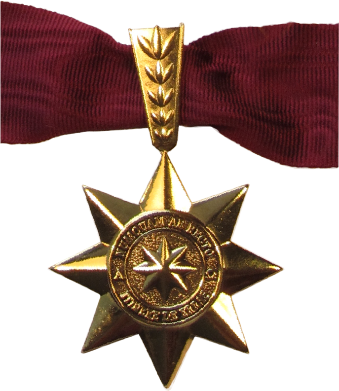 La Estrella De Oro Del Concilio - Gold Medal Clipart (687x793), Png Download