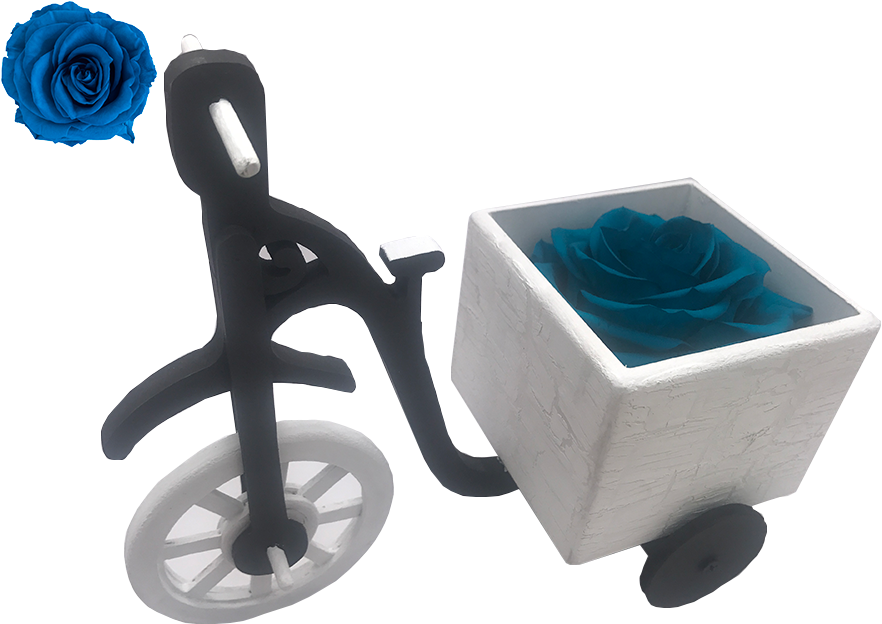 B0085 - Bici-cajonblan - Clipart (960x720), Png Download