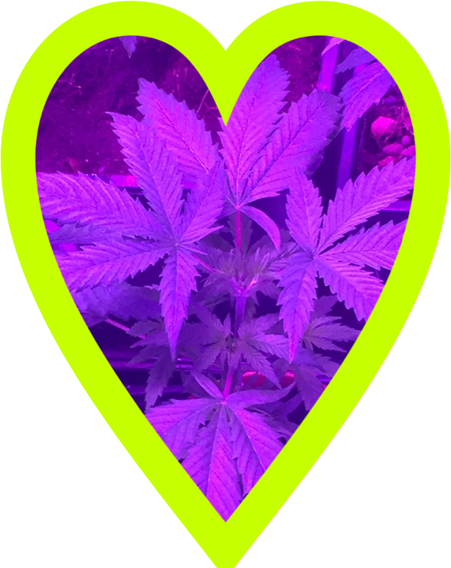 #durgamata - Heart Clipart (635x816), Png Download