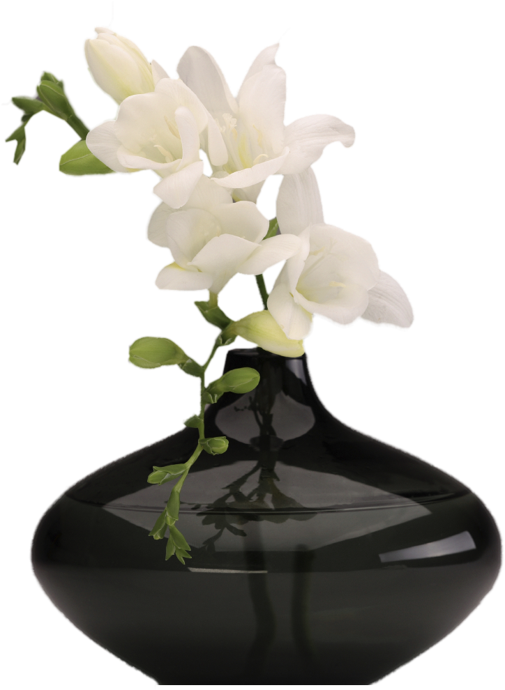 Vase Png Image - Png Flower With Vase Clipart (750x1020), Png Download