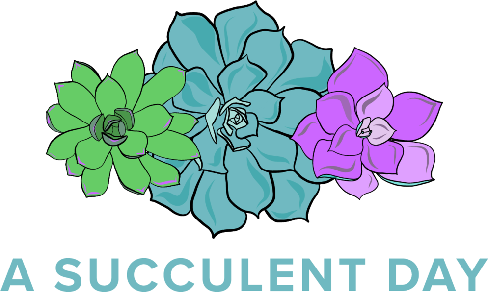 Image Library Asset Png Format W - Clipart Flowers Succulents Transparent Png (994x596), Png Download