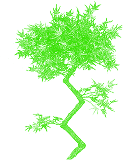 640 X 640 4 - Plants And Trees Clipart (640x640), Png Download