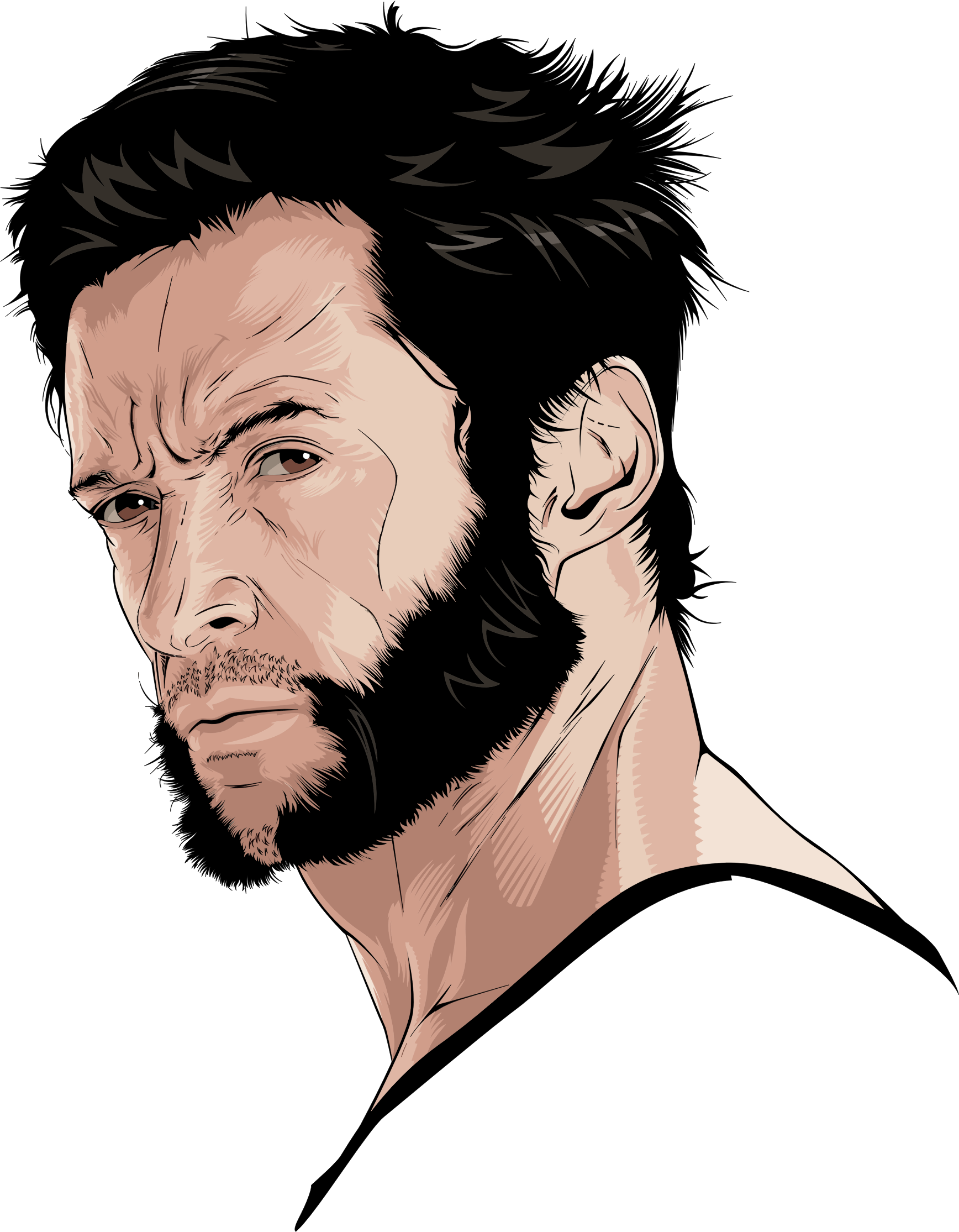 Big Image - Hugh Jackman Wolverine Drawing Clipart (1736x2229), Png Download