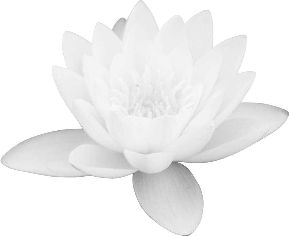 Lotus Flower Png Images Free Download Png Library - Sacred Lotus Clipart (944x771), Png Download