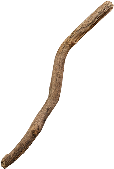 Tree Branch - Snake Clipart (866x650), Png Download