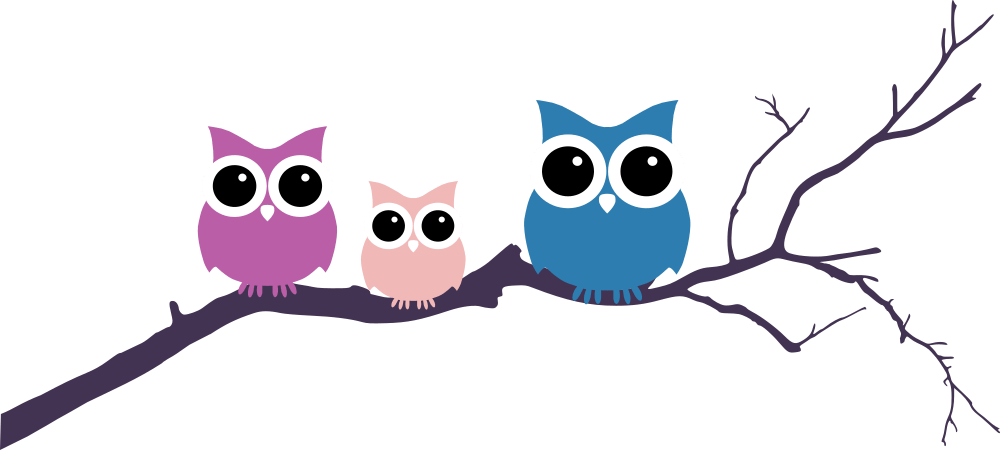 Three Owls Tree Branch - Owl On Tree Clipart - Png Download (1000x450), Png Download