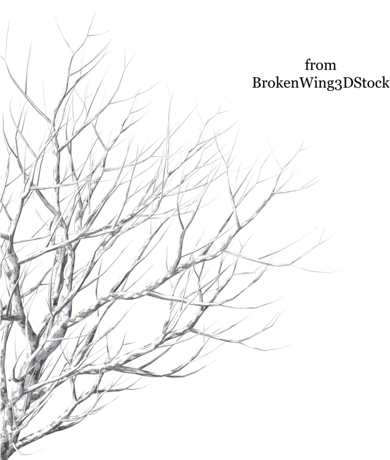 Cut Out Tree Winter Png Clipart (900x900), Png Download