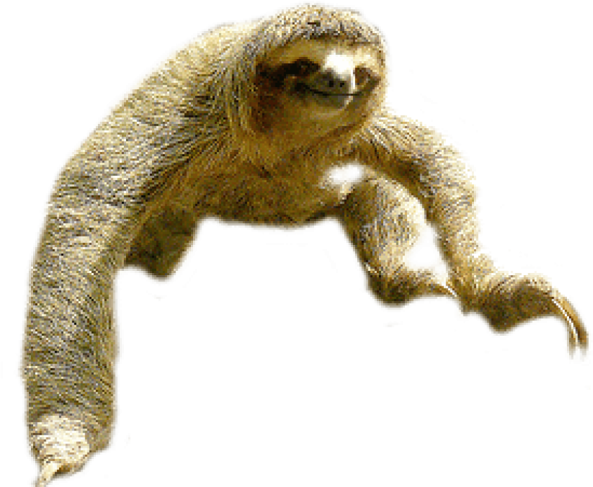 Download Sloth Jump Png Images Background - Sloth Png Clipart (850x691), Png Download