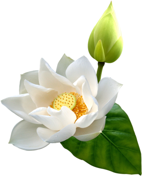 สุขสันต์ วัน ต่างๆ Clipart (600x721), Png Download