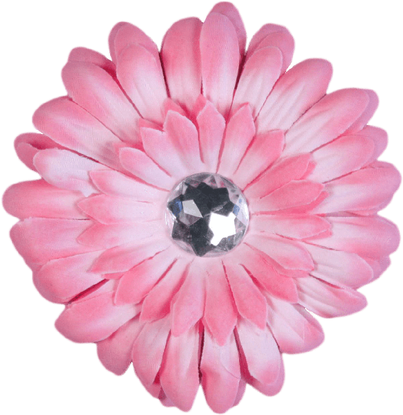 Light Pink Flower - Barberton Daisy Clipart (650x650), Png Download