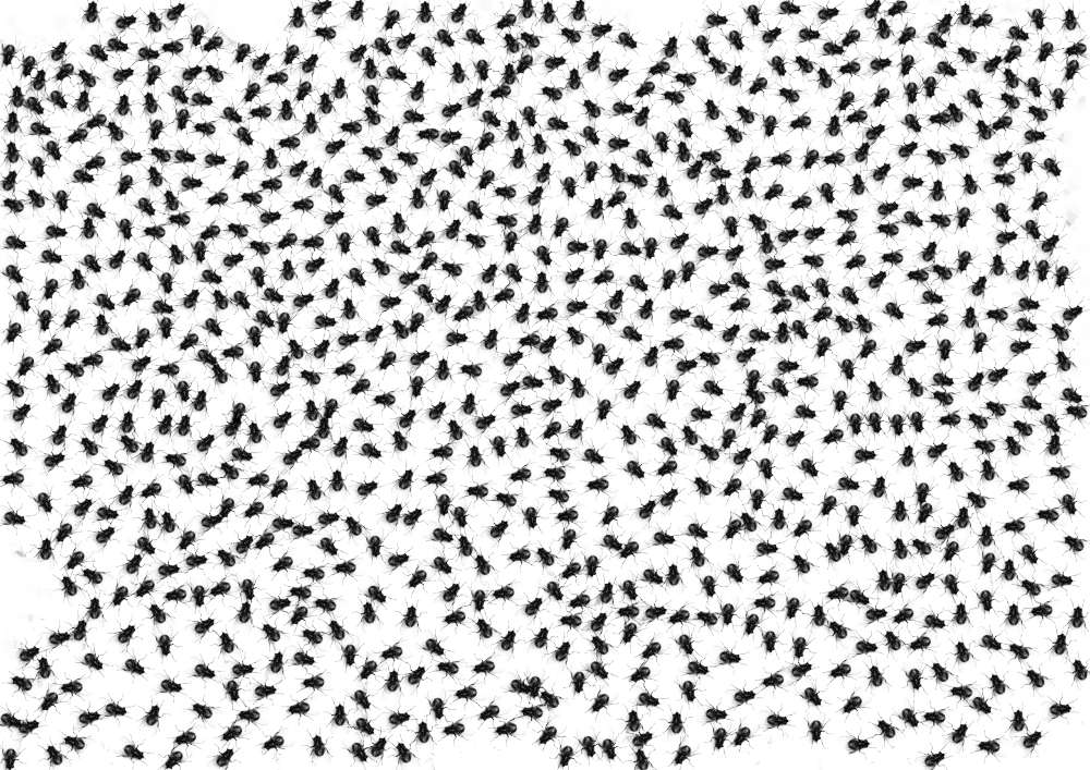 Login - Leopard Background Clipart (1000x707), Png Download