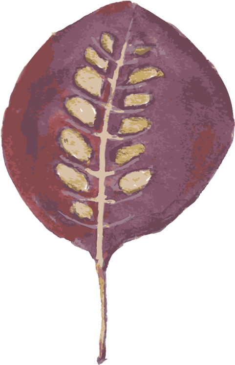 Free Png Download Leaf Png Images Background Png Images - Snake's Head Clipart (481x746), Png Download
