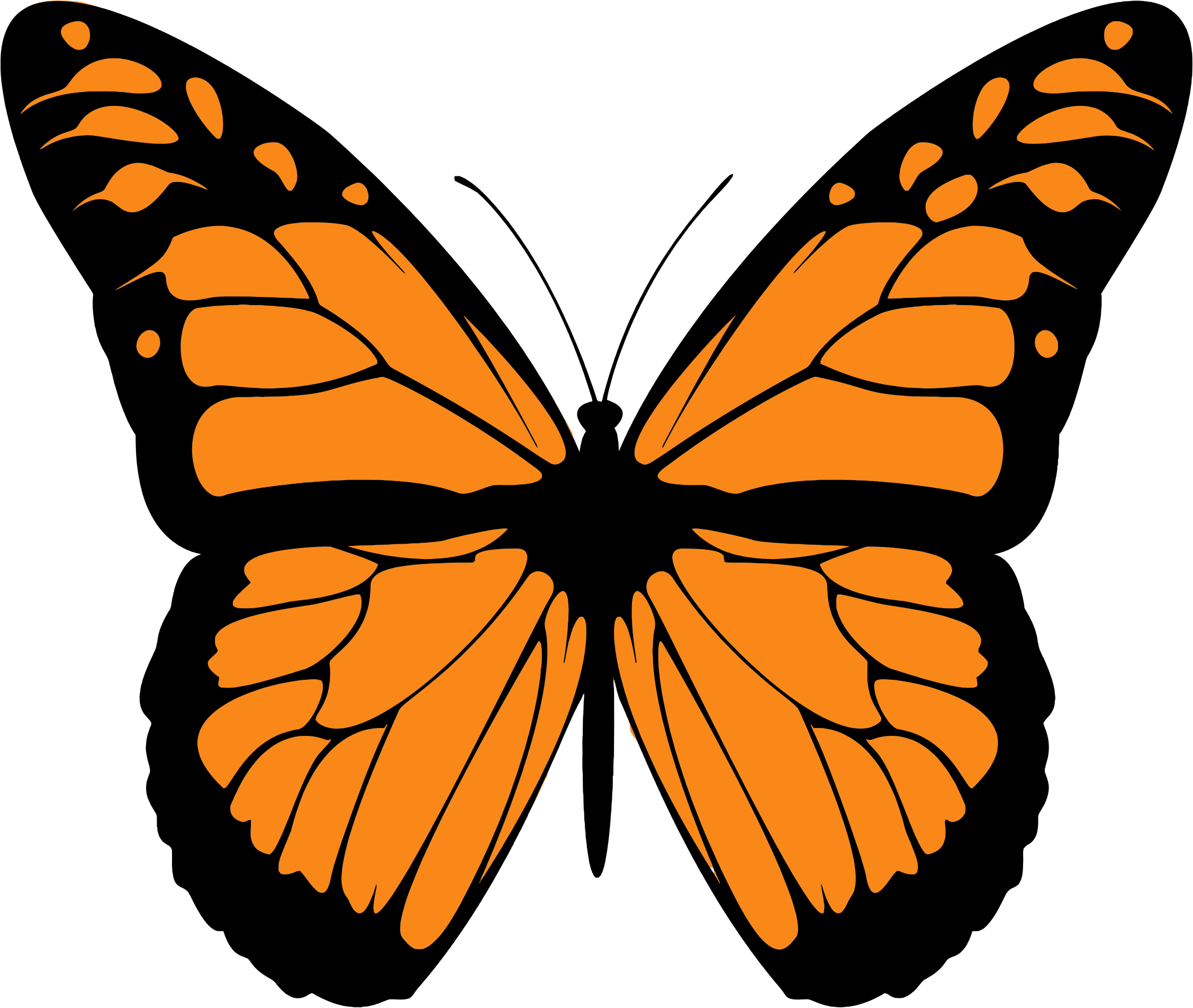 Clip Art Library Stock Butterfly Big Image Png - Monarch Butterfly Print Out Transparent Png (2254x1904), Png Download