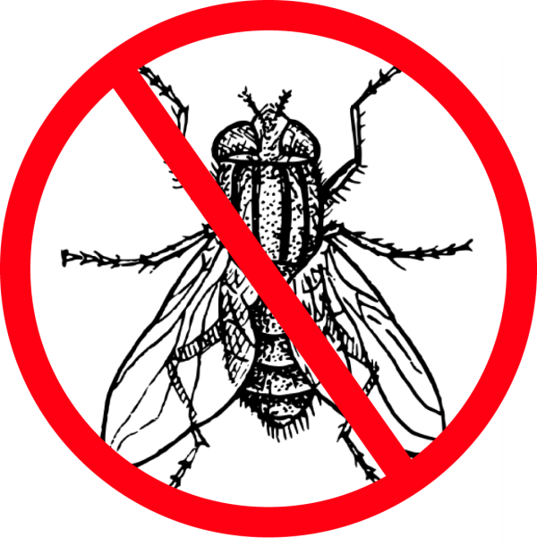 Housefly Black And White Clipart (600x610), Png Download