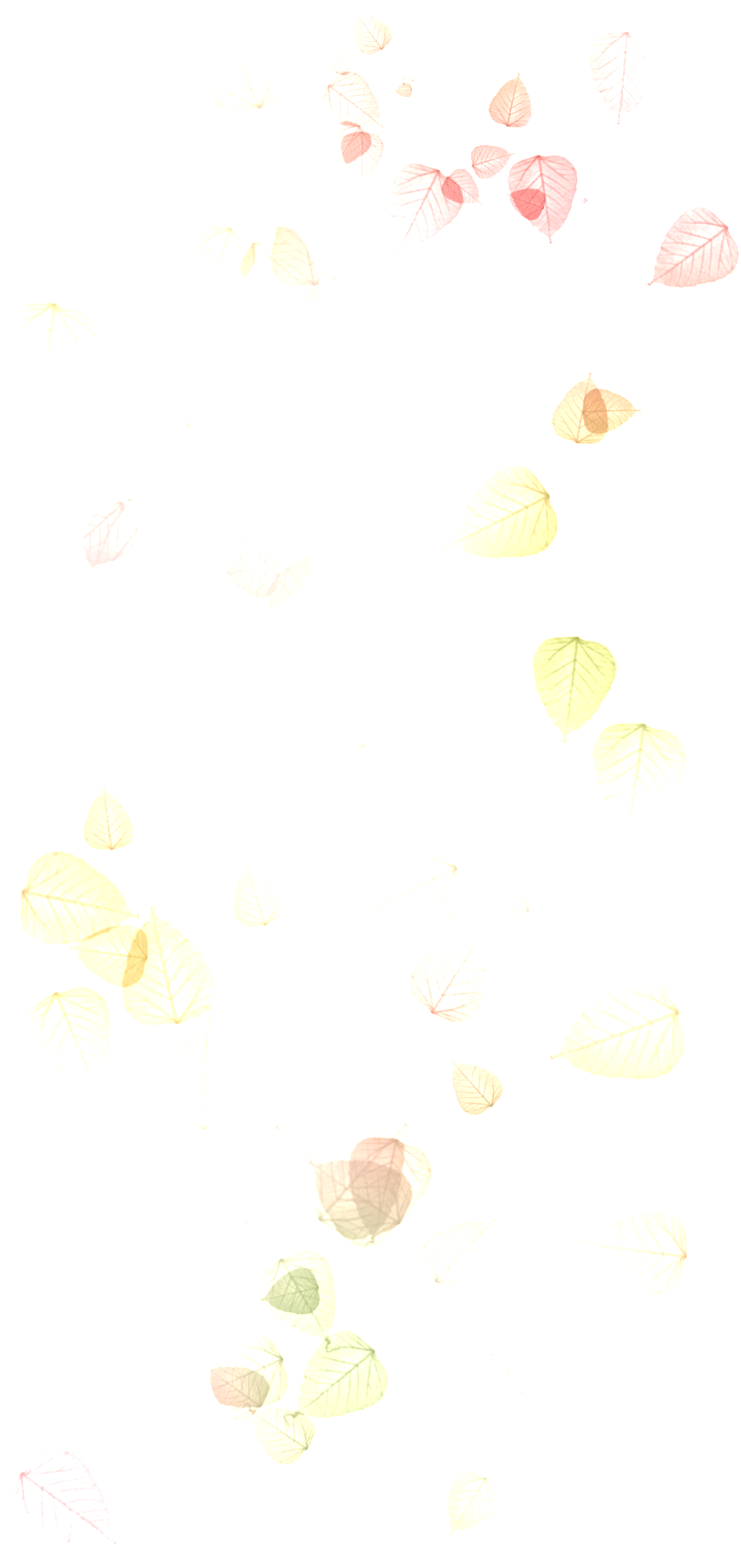 Autumn Sunset Leaves - Wallpaper Clipart (1024x2169), Png Download