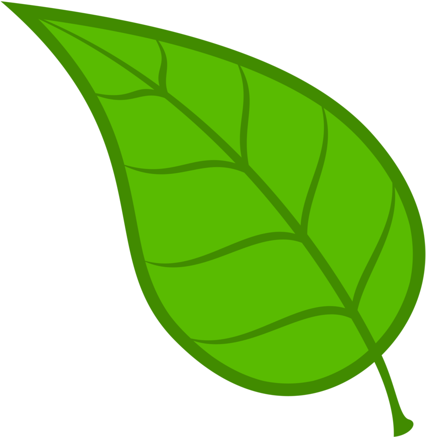 Collection Of Free Leaf Vector Cdr - Leaf Clipart Png Transparent Png (894x894), Png Download