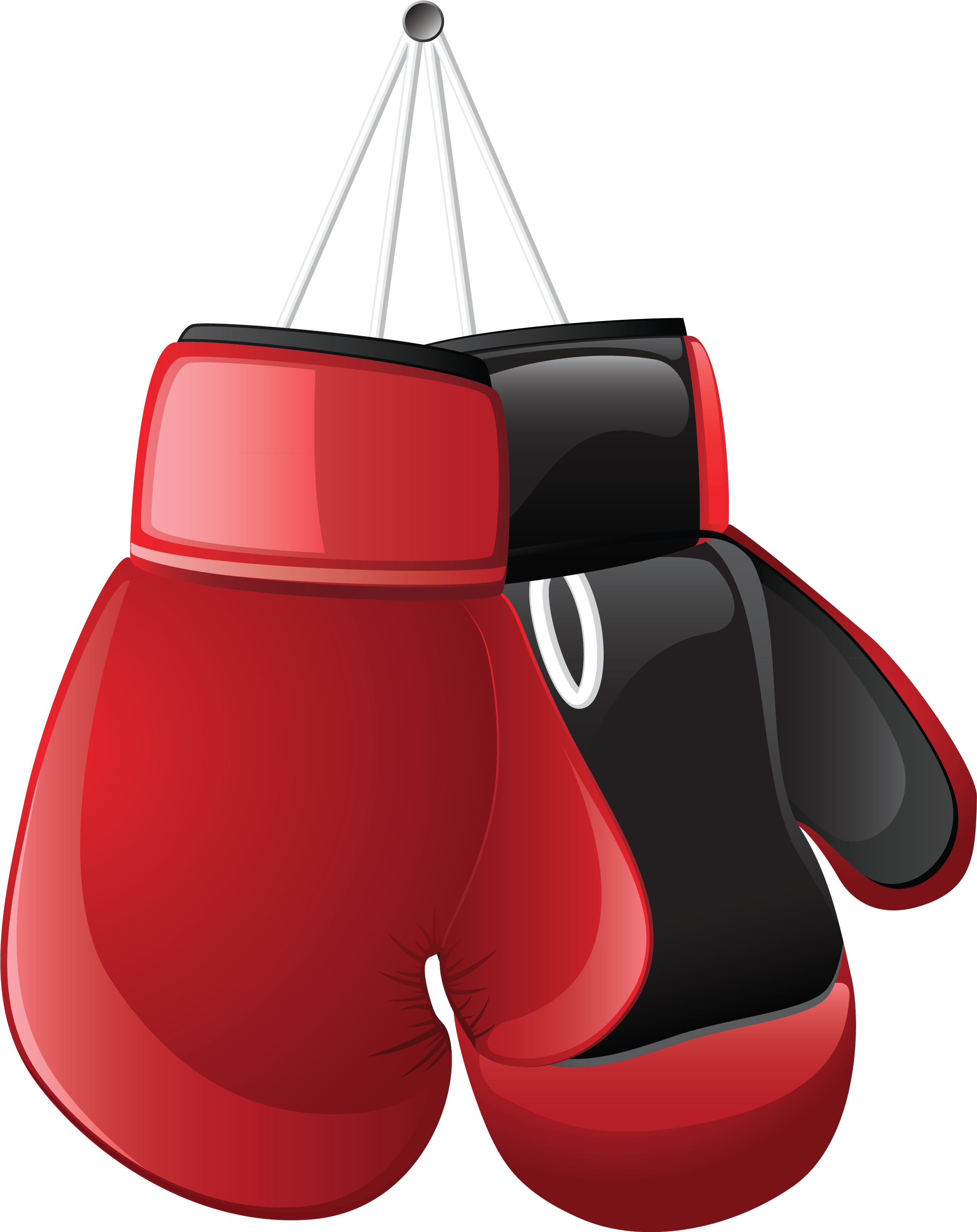 Boxing Gloves Png Vector Clipart - Boxing Gloves Vector Png Transparent Png (2886x3672), Png Download