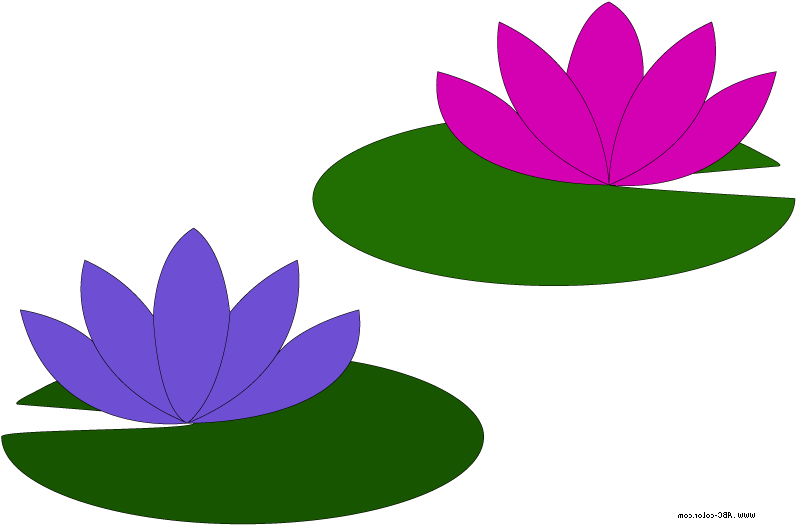 Go Back Gallery For Lily Pad Flower Clipart - Lily Clipart Small - Png Download (796x525), Png Download