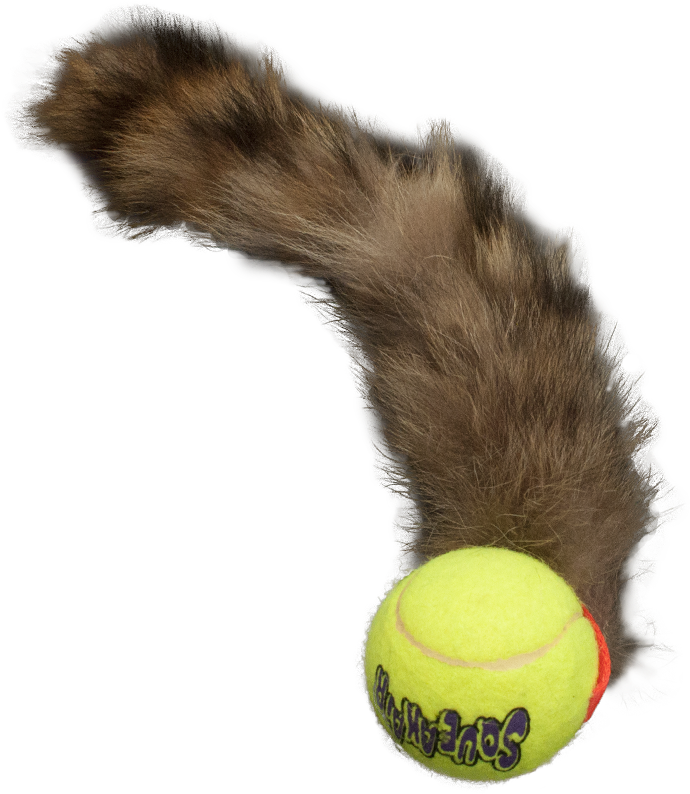 Tennis Ball With Tail Pet Toy Clipart (864x864), Png Download