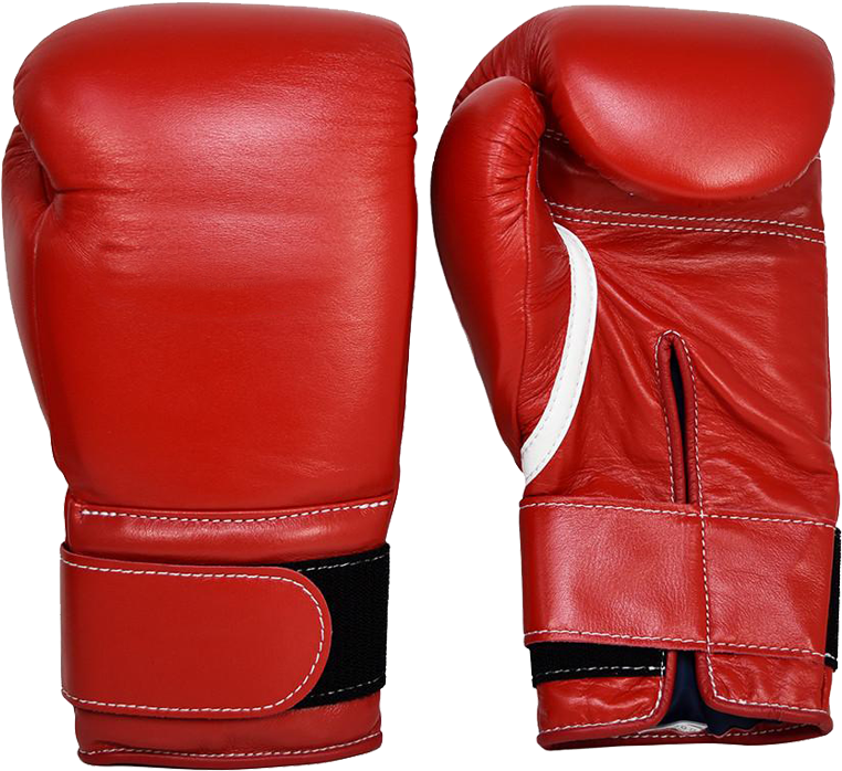 Professional Super 14 Oz Boxing Gloves Clipart (762x698), Png Download