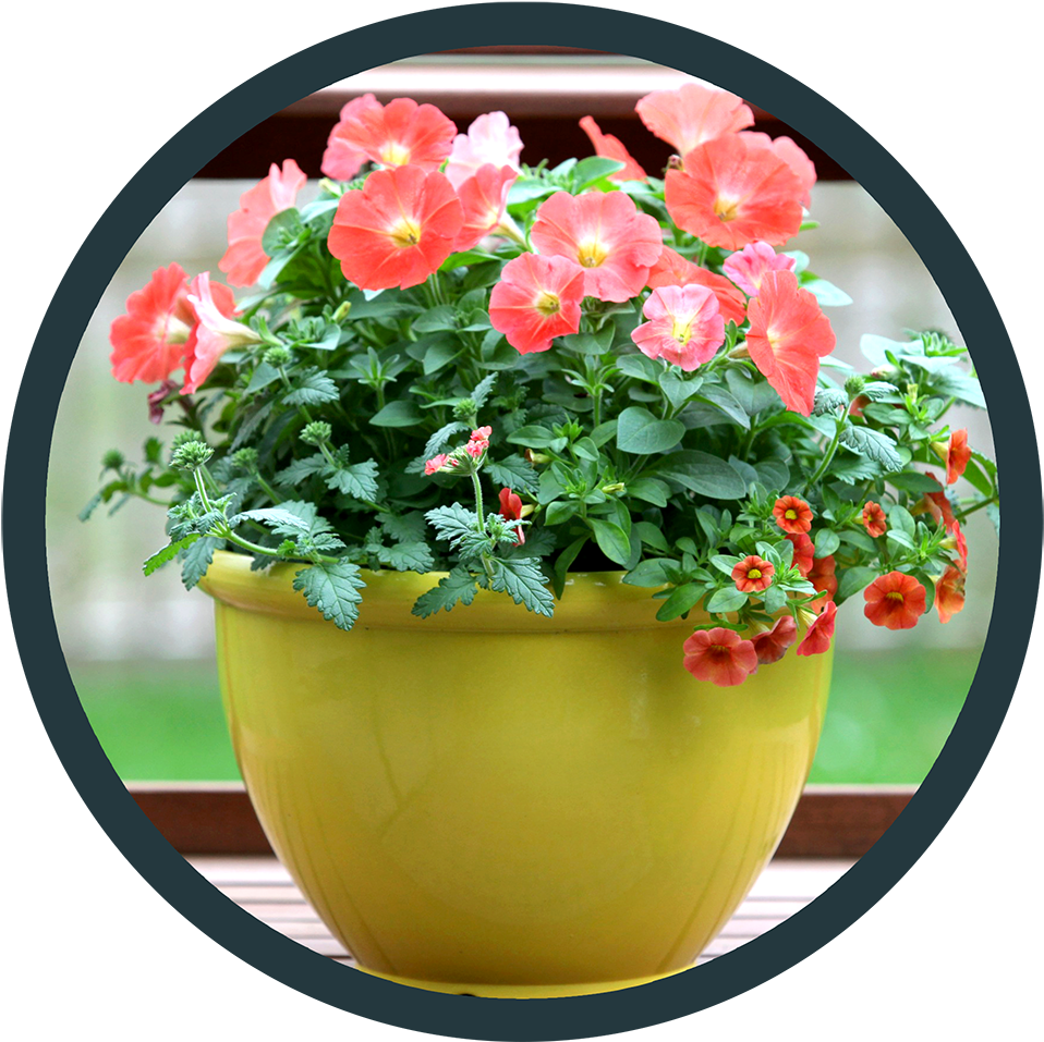 Point Of Purchase - Flowerpot Clipart (969x966), Png Download