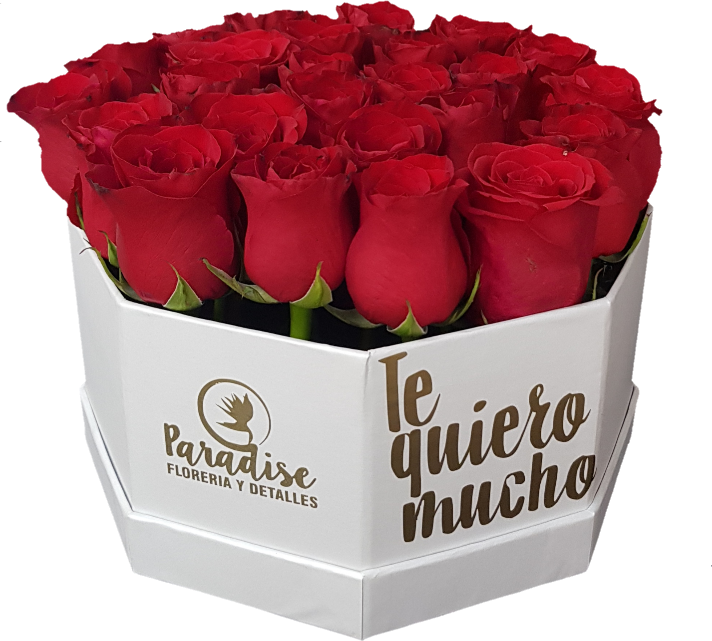 Caja De Rosa Roja C-19 - Garden Roses Clipart (1425x1598), Png Download