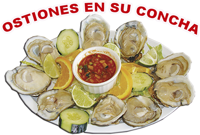 Bienvenidos A Los Lagos Mariscos - Tiostrea Chilensis Clipart (821x640), Png Download