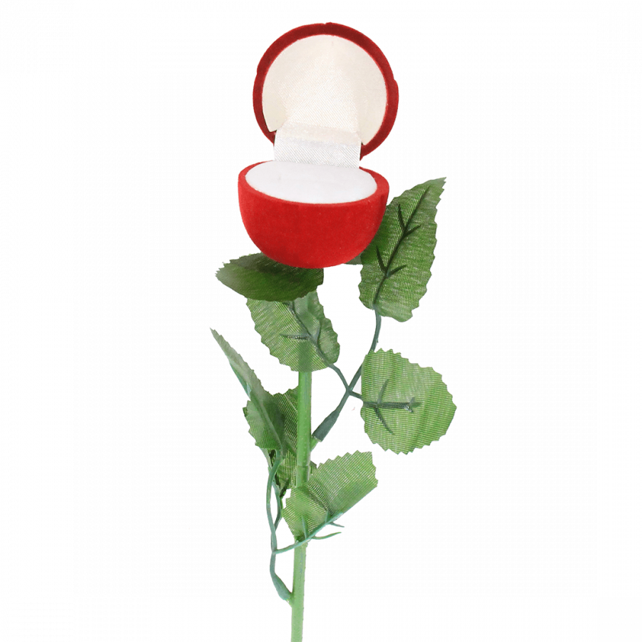 Estuche Rosa Roja Con Ramo - Garden Roses Clipart (900x900), Png Download