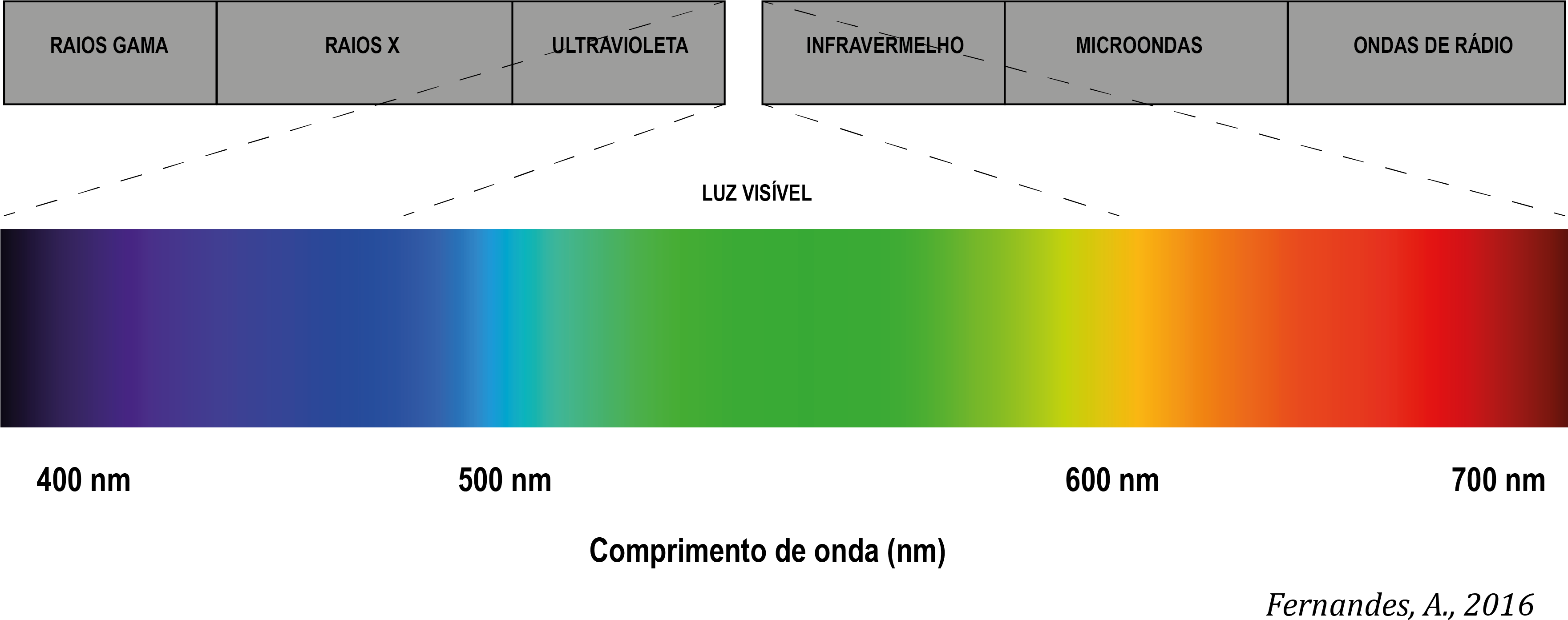 Espectro Luz Visível - Spectre D Absorption De La Lumière Clipart (3523x1432), Png Download
