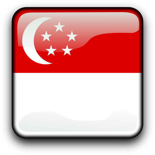 Singapore, Flag, Country, Nationality, Square, Button - Gambar Bendera Negara Singapura Clipart (640x640), Png Download