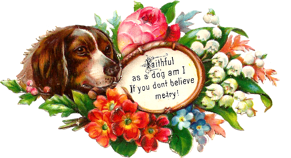 May Flowers Cliparts - Basset Hound - Png Download (1253x800), Png Download