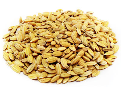 Arroz Cateto - Whole Grain Clipart (800x600), Png Download