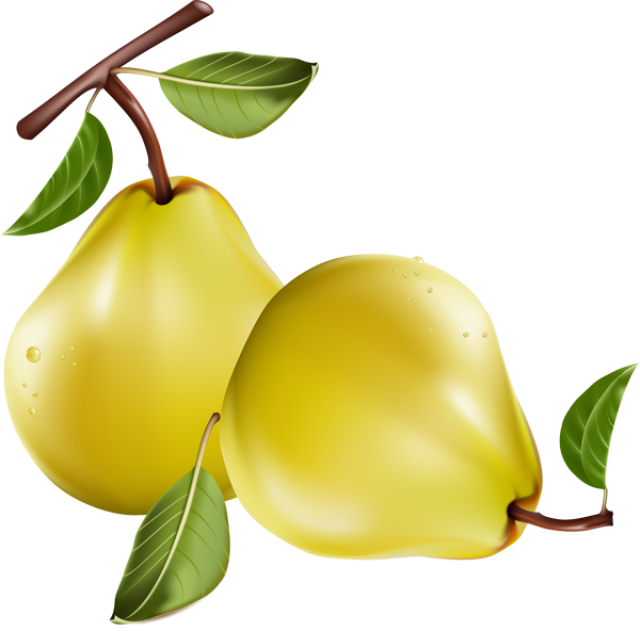 Fruit - Pears Clipart Png Transparent Png (640x631), Png Download