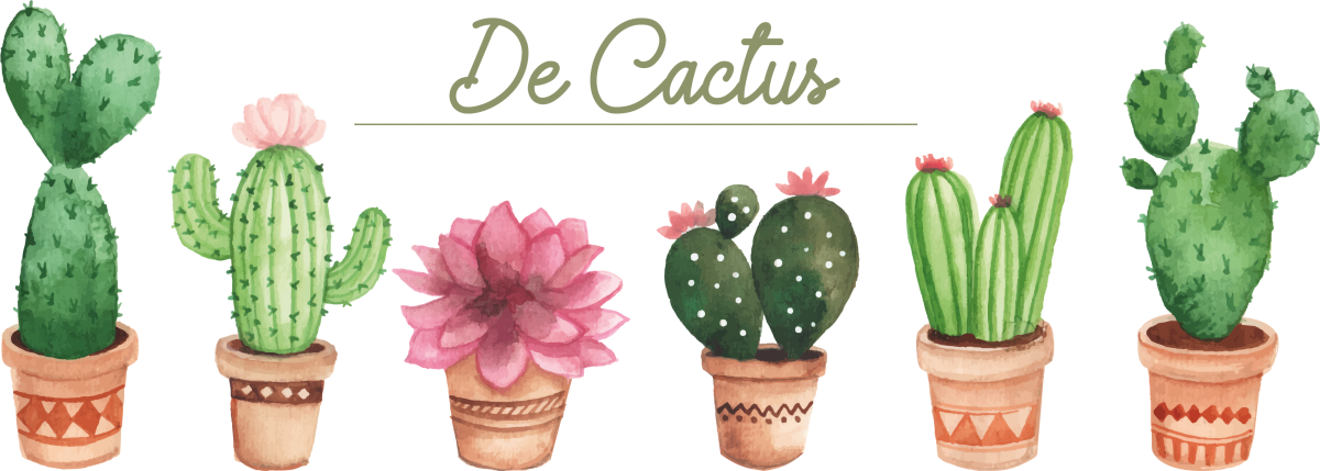 Tienda Online De Artículos De Cactus - San Pedro Cactus Clipart (1200x429), Png Download