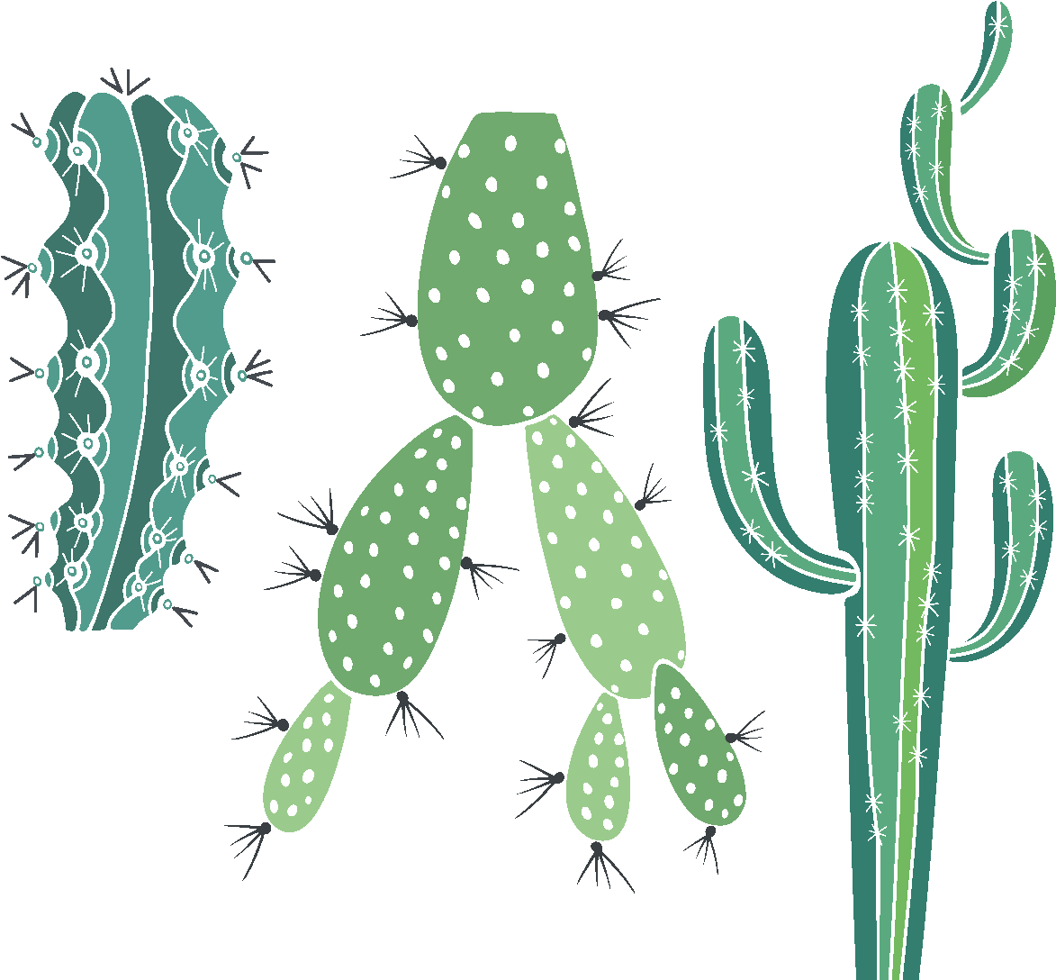 Sticker Boheme 3 Cactus Piquants Ambiance Sticker Col - Eastern Prickly Pear Clipart (1200x1200), Png Download