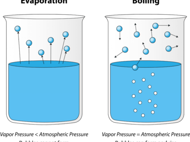 Bubble Clipart Water Vapour - Surface Evaporation - Png Download (640x480), Png Download