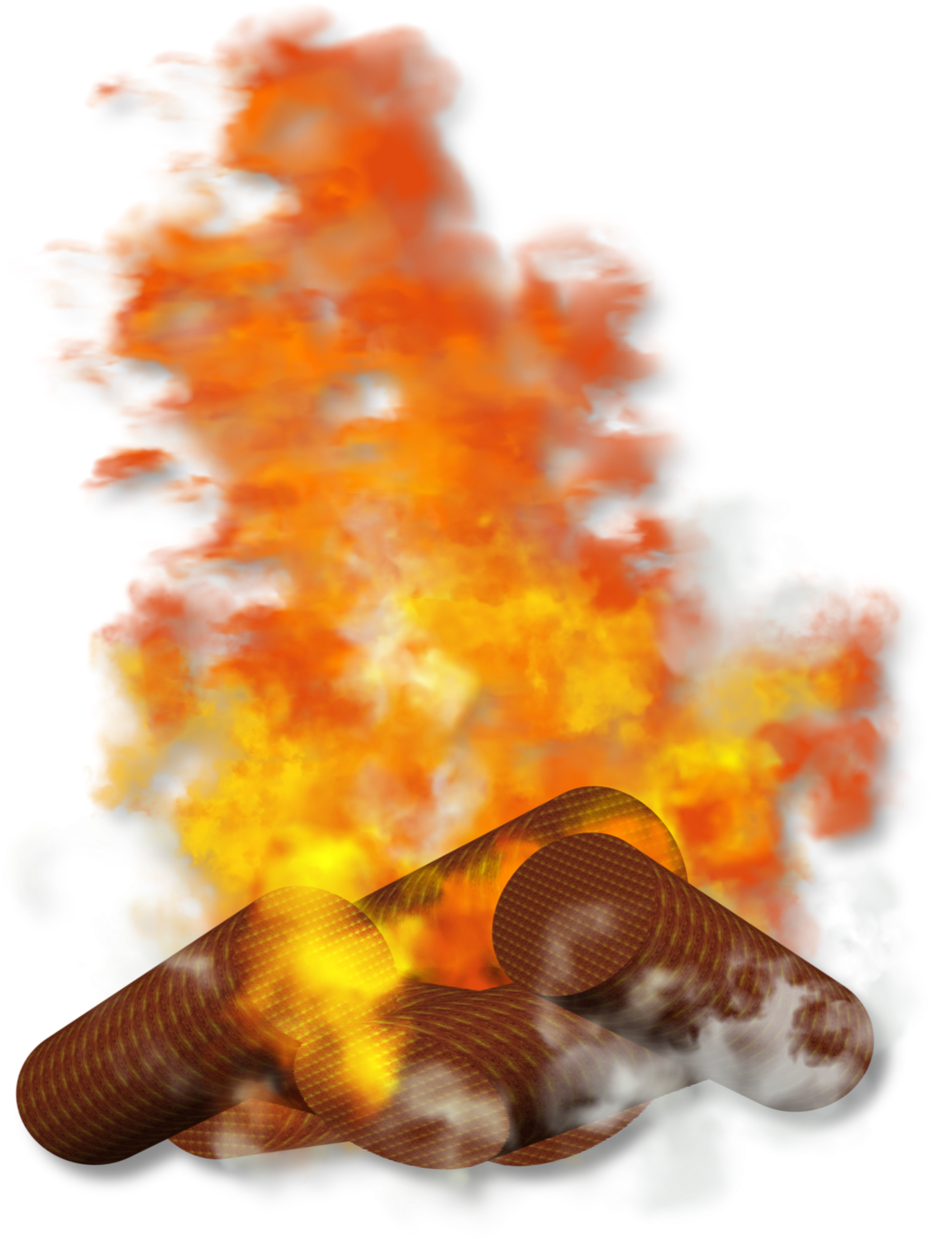 M Fire Png - Conch Clipart (1600x1868), Png Download