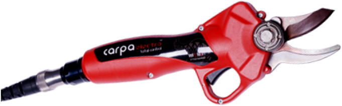 Tesoura De Podar Carpa Electro Lítio - Tesoura De Poda Eletrica Preços Clipart (800x800), Png Download