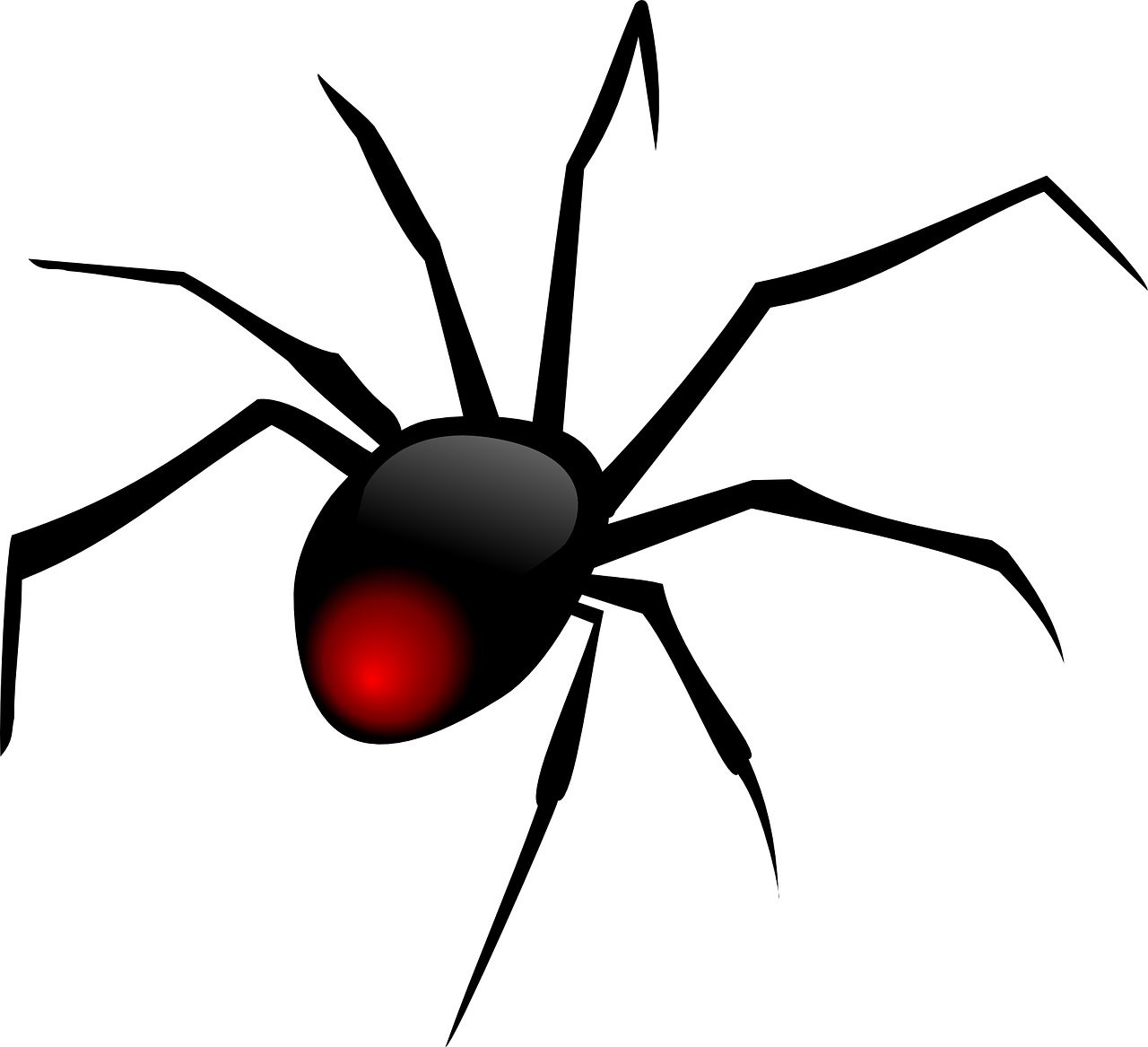 Dibujo Araña Png - Red Back Spider Clipart Transparent Png (1280x1167), Png Download