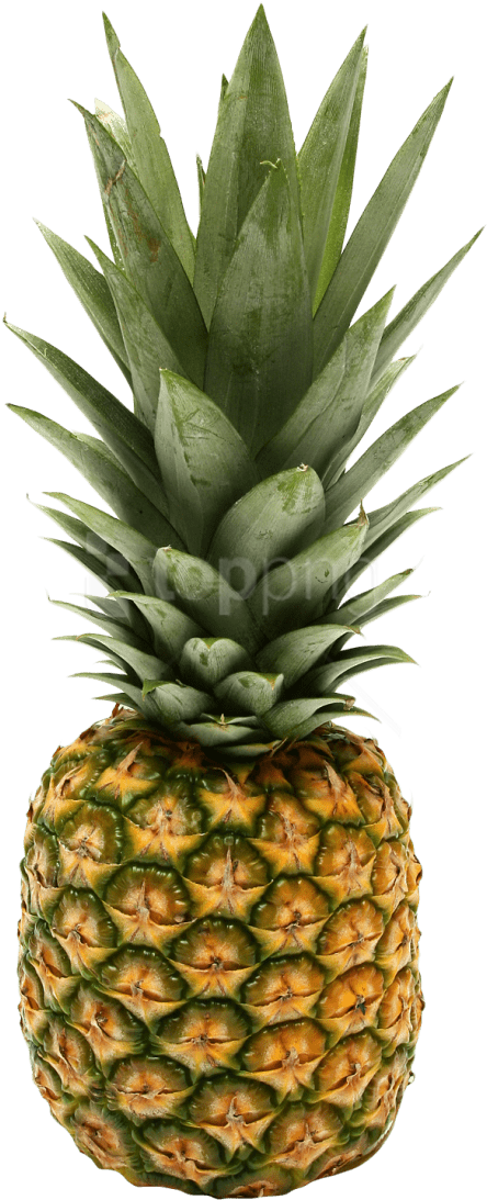 Free Png Two Pineapple Png Images Transparent - Rick And Morty Pineapple Clipart (481x1131), Png Download
