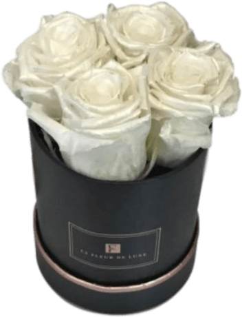 White Pearl Roses In Extra Small Black Round Box - Garden Roses Clipart (600x700), Png Download