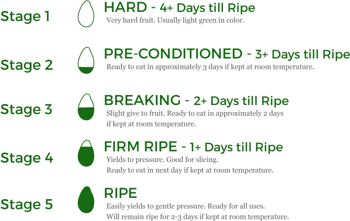 We Deliver Avocados To Our Retailers At Stage 3 Or - Circle Clipart (1280x828), Png Download