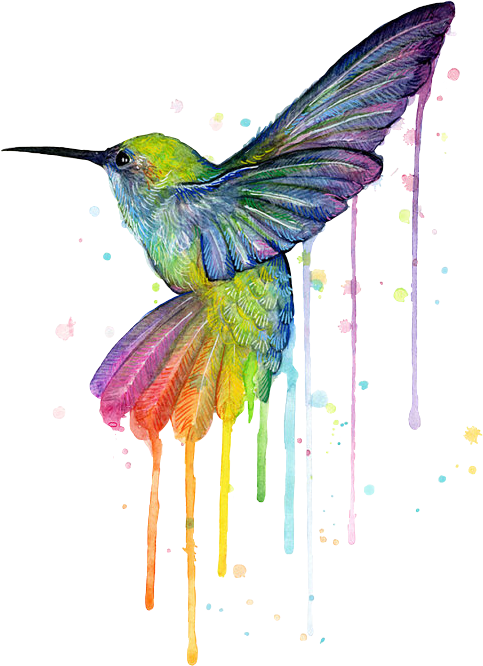 #hummingbird #bird #rainbow #watercolor #rainbowhummingbirf - Hummingbird Of Watercolor Rainbow Clipart (483x666), Png Download