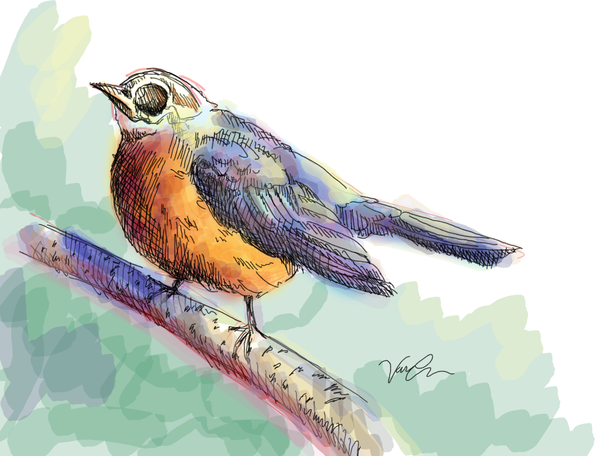 Watercolor Bird Png Clipart (2048x1570), Png Download