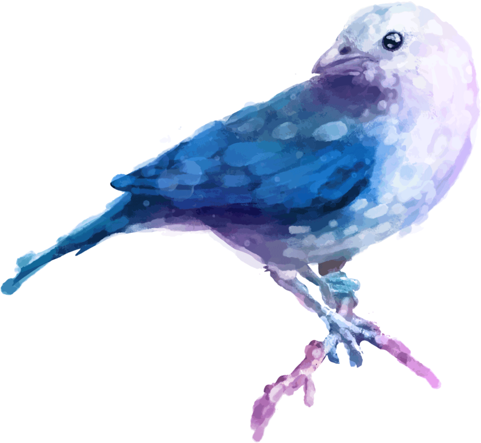 Beautiful Watercolor Bird Ceramic Coffee Mug , Png - Watercolor Painting Clipart (971x894), Png Download