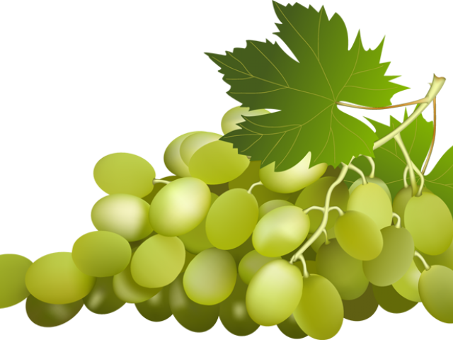 Grapes Clipart Grape Leaf - Green Grapes Clipart - Png Download (640x480), Png Download